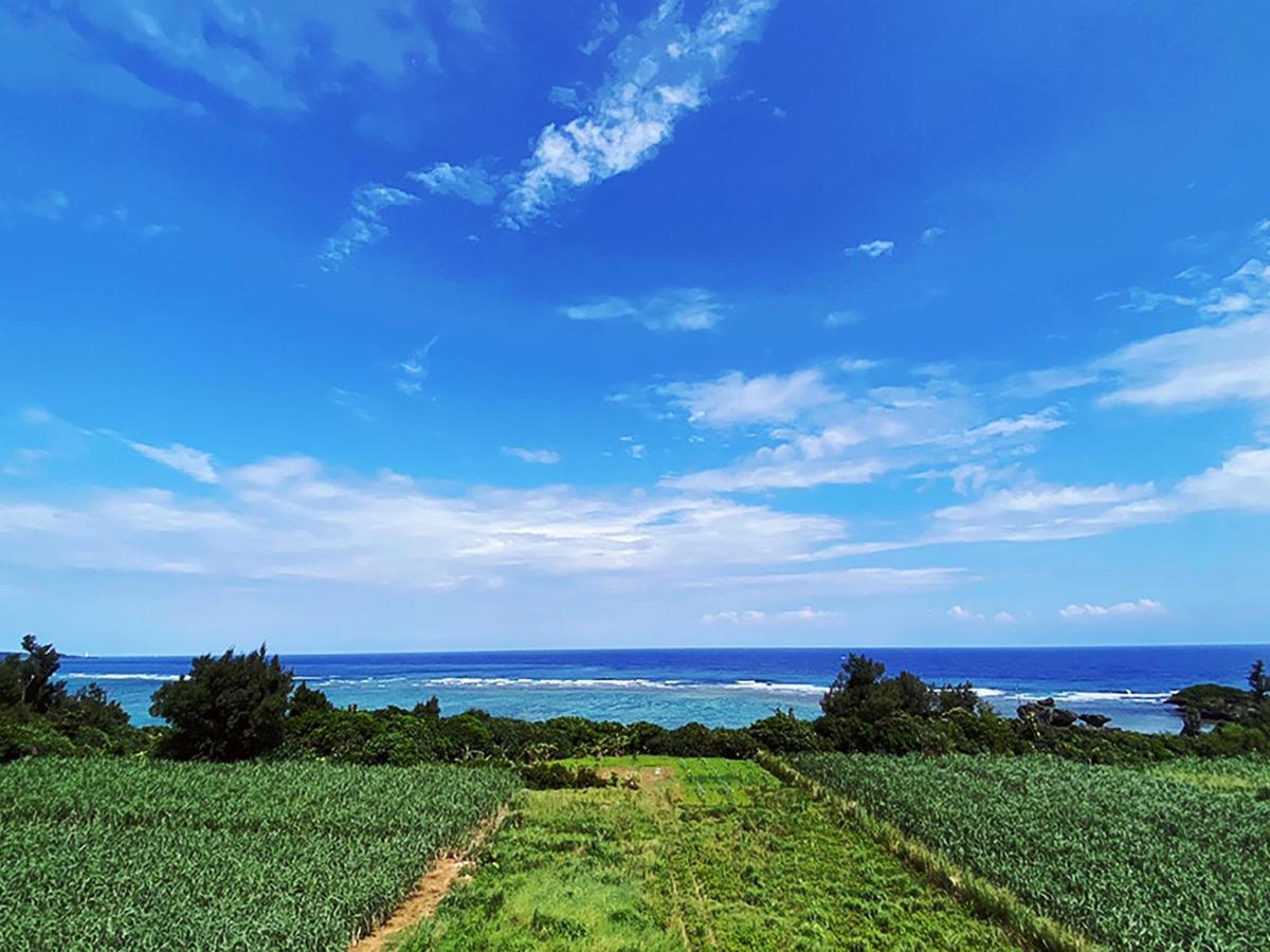 恩纳真栄田グランブルー403 ~ Maeda Grand Blue 403 ~公寓 外观 照片